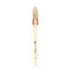 Sash Brushes - Pointed