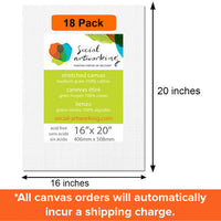 16" x 20" Stretched Canvas (18 pack) - DecoArt